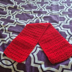 Half Double Crochet V-Stitch Scarf